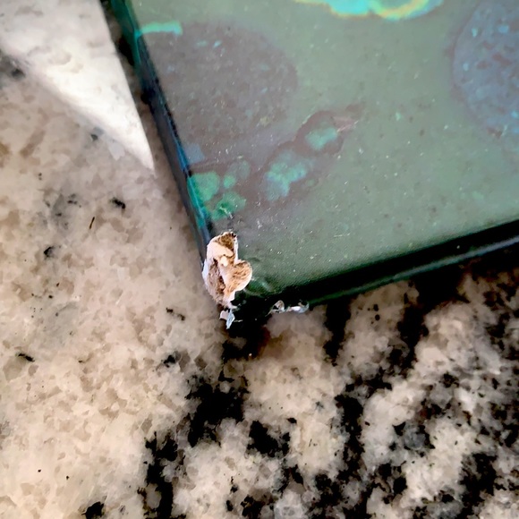 Brand New HIPDOT Cenote Eyeshadow Pressed Palette - Picture 6 of 8